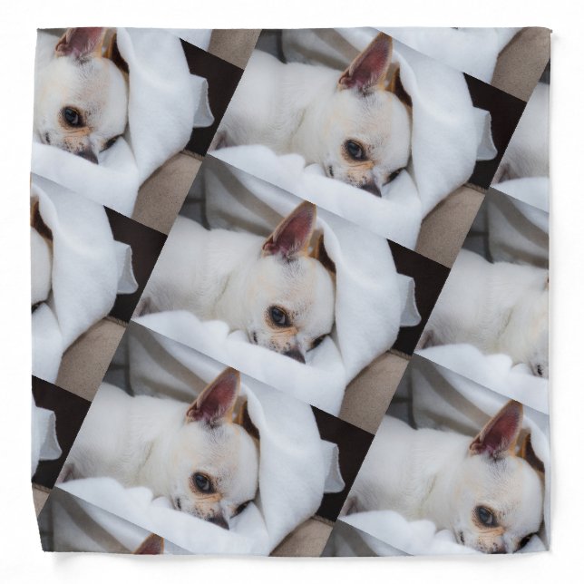 Your pet dog puppy custom photo chihuahua pattern bandana (Front)