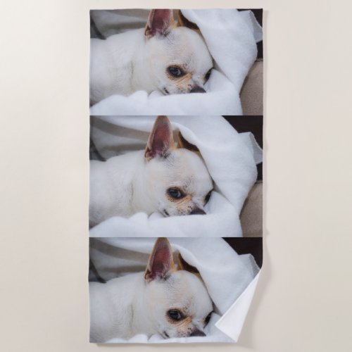 Your pet dog puppy custom photo chihuahua pattern beach towel