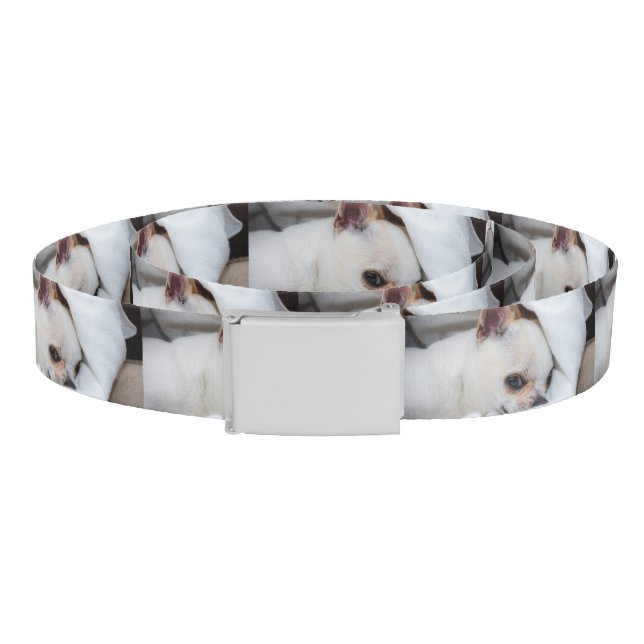 Your pet dog puppy custom photo chihuahua pattern belt (Coil)