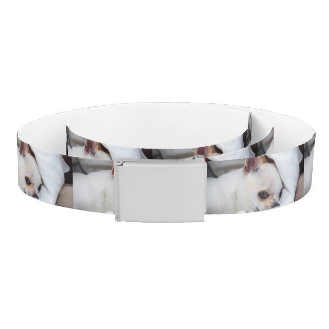 Your pet dog puppy custom photo chihuahua pattern belt (Coil)