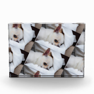 Your pet dog puppy custom photo chihuahua pattern block