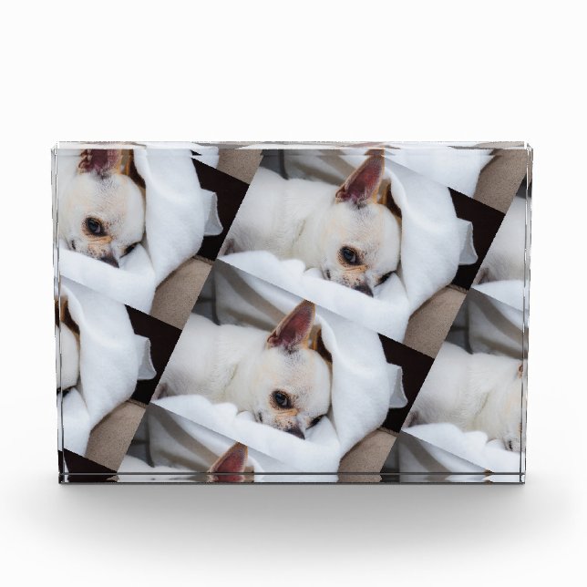 Your pet dog puppy custom photo chihuahua pattern block (Front)