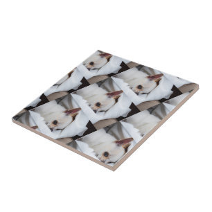 Your pet dog puppy custom photo chihuahua pattern ceramic tile