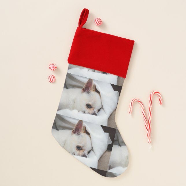 Your pet dog puppy custom photo chihuahua pattern christmas stocking (Front)