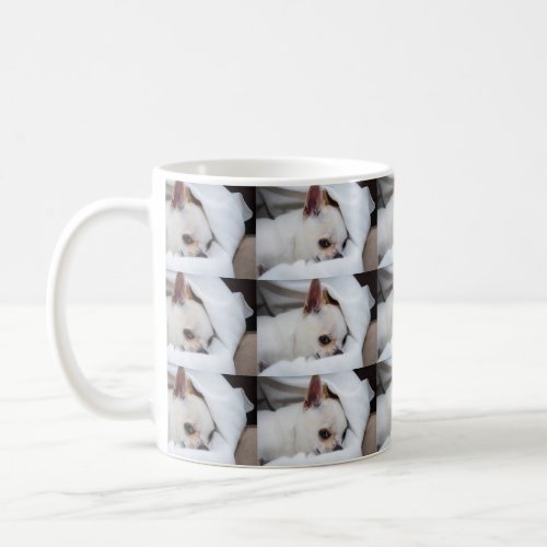 Your pet dog puppy custom photo chihuahua pattern coffee mug