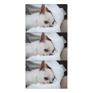 Your pet dog puppy custom photo chihuahua pattern door sign