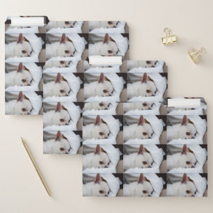 Your pet dog puppy custom photo chihuahua pattern file folder