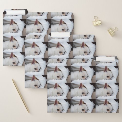 Your pet dog puppy custom photo chihuahua pattern file folder