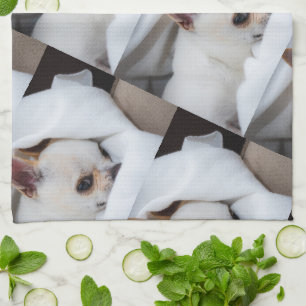 Your pet dog puppy custom photo chihuahua pattern kitchen towel