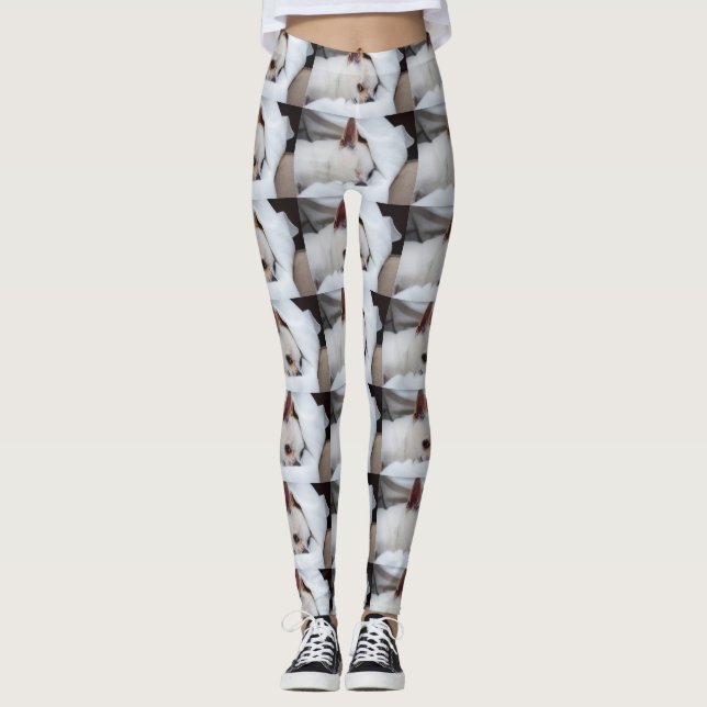 Your pet dog puppy custom photo chihuahua pattern leggings (Front)