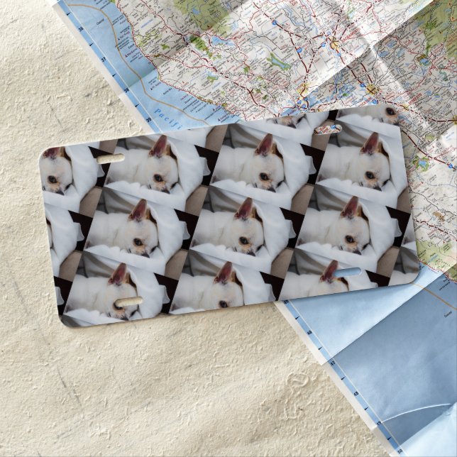 Your pet dog puppy custom photo chihuahua pattern license plate (In Situ)