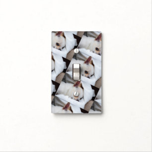 Your pet dog puppy custom photo chihuahua pattern light switch cover
