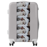 Your pet dog puppy custom photo chihuahua pattern