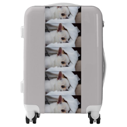 Your pet dog puppy custom photo chihuahua pattern luggage