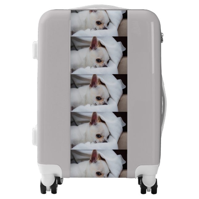 Your pet dog puppy custom photo chihuahua pattern luggage (Front)