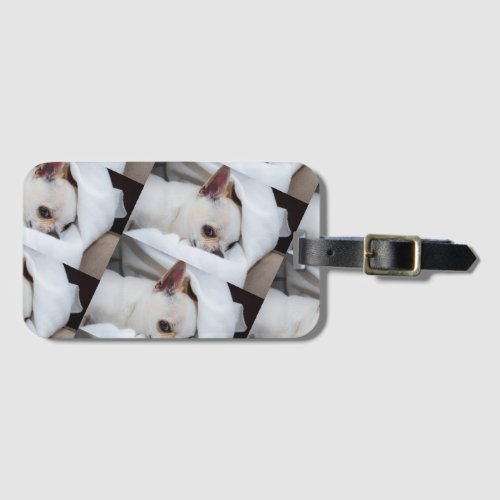 Your pet dog puppy custom photo chihuahua pattern luggage tag