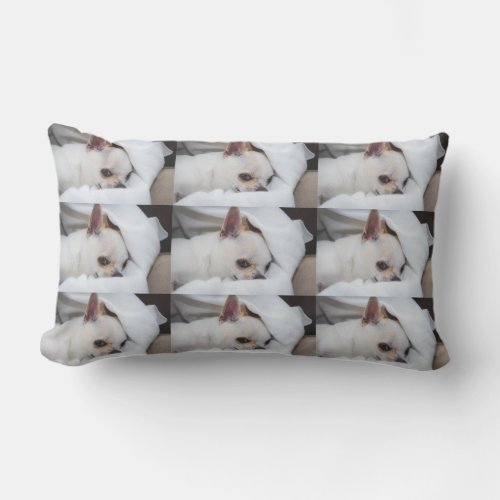 Your pet dog puppy custom photo chihuahua pattern lumbar pillow