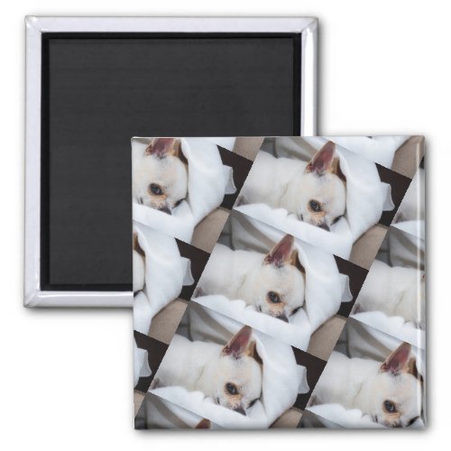 Your pet dog puppy custom photo chihuahua pattern magnet