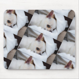 Your pet dog puppy custom photo chihuahua pattern mouse pad