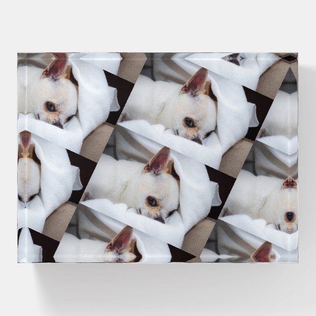 Your pet dog puppy custom photo chihuahua pattern paperweight (Front)