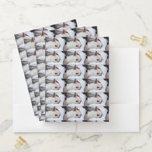 Your pet dog puppy custom photo chihuahua pattern pocket folder