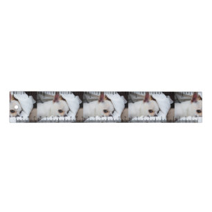 Your pet dog puppy custom photo chihuahua pattern ruler