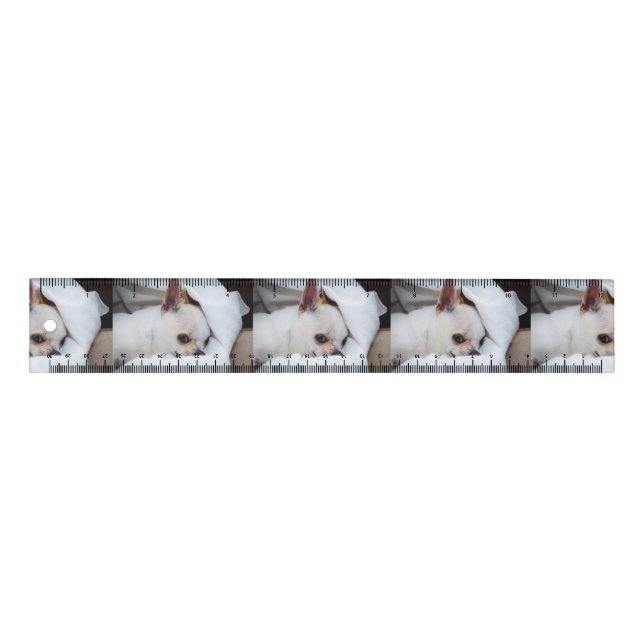 Your pet dog puppy custom photo chihuahua pattern ruler (Front)