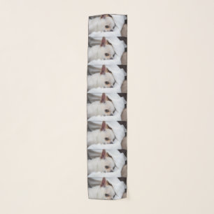 Your pet dog puppy custom photo chihuahua pattern scarf