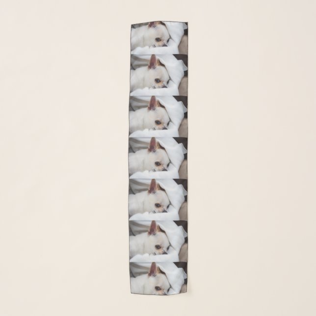 Your pet dog puppy custom photo chihuahua pattern scarf (Front)