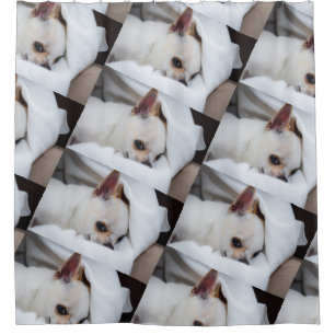 Your pet dog puppy custom photo chihuahua pattern shower curtain