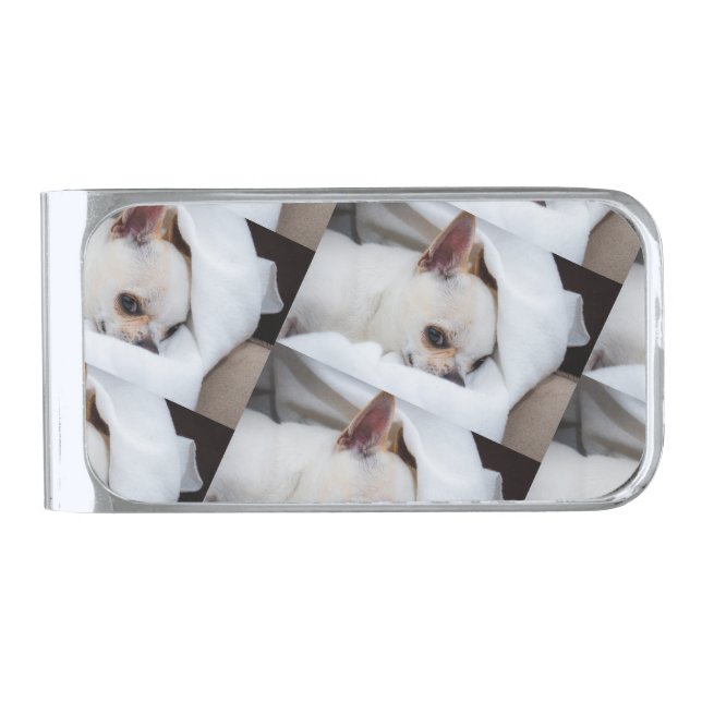 Your pet dog puppy custom photo chihuahua pattern silver finish money clip (Front)