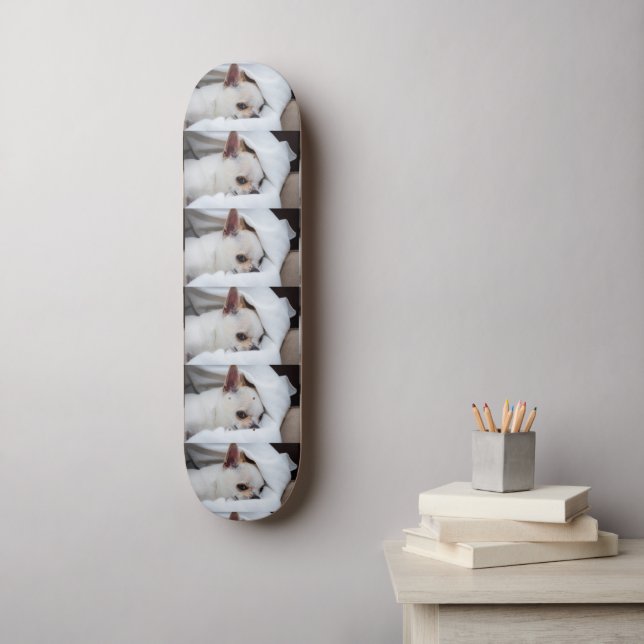 Your pet dog puppy custom photo chihuahua pattern skateboard (Wall Art)