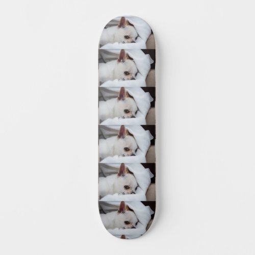 Your pet dog puppy custom photo chihuahua pattern skateboard