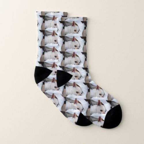 Your pet dog puppy custom photo chihuahua pattern socks