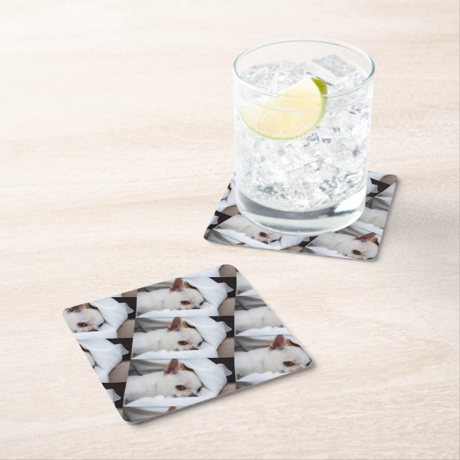 Your pet dog puppy custom photo chihuahua pattern square paper coaster (Insitu)