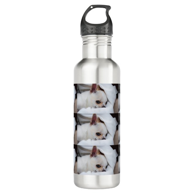 Your pet dog puppy custom photo chihuahua pattern stainless steel water bottle (Front)