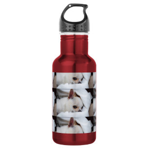 Your pet dog puppy custom photo chihuahua pattern stainless steel water bottle