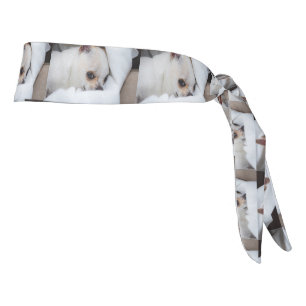 Your pet dog puppy custom photo chihuahua pattern tie headband