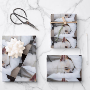 Your pet dog puppy custom photo chihuahua pattern wrapping paper sheets