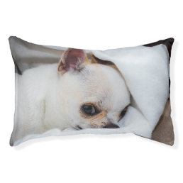 Your pet dog puppy custom photo chihuahua pet bed