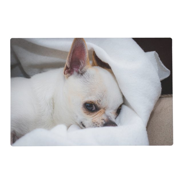 Your pet dog puppy custom photo chihuahua placemat (Front)