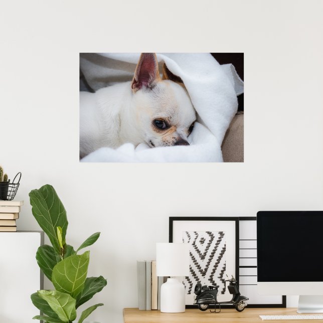 Your pet dog puppy custom photo chihuahua poster (Home Office)