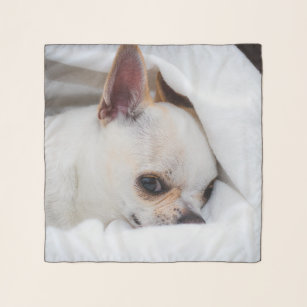 Your pet dog puppy custom photo chihuahua scarf