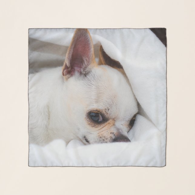 Your pet dog puppy custom photo chihuahua scarf (Front)
