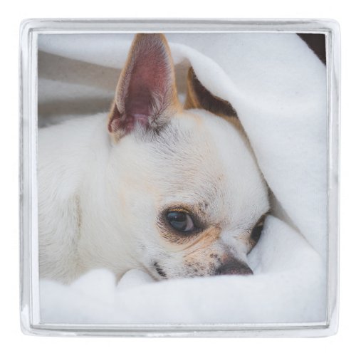 Your pet dog puppy custom photo chihuahua silver finish lapel pin