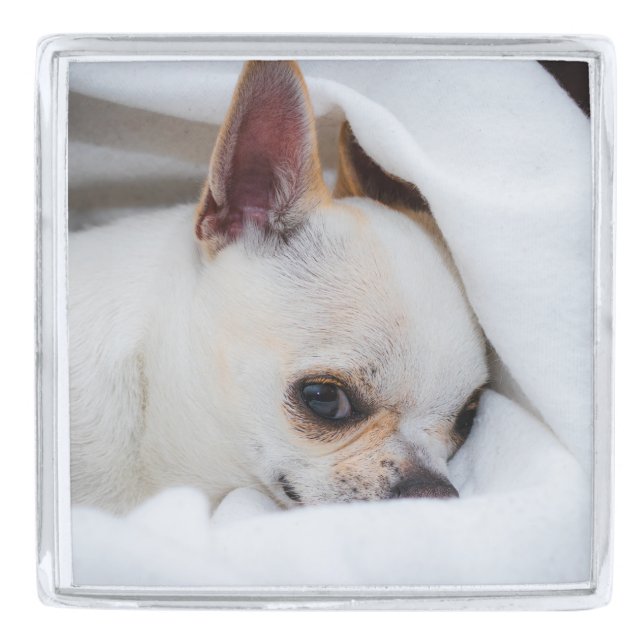 Your pet dog puppy custom photo chihuahua silver finish lapel pin (Front)