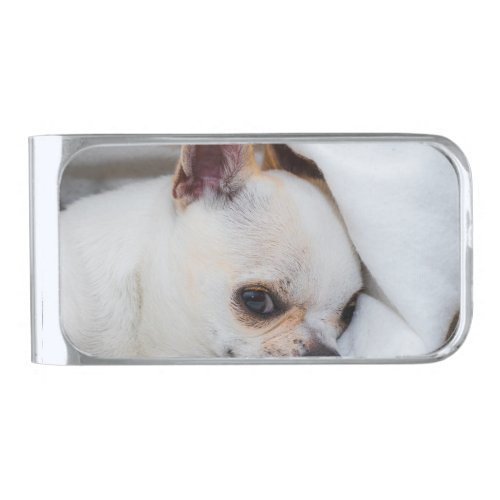 Your pet dog puppy custom photo chihuahua silver finish money clip