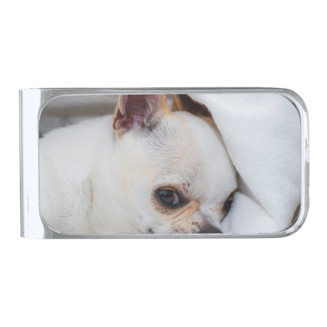 Your pet dog puppy custom photo chihuahua silver finish money clip (Front)