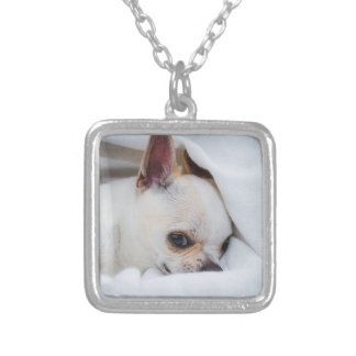 Your pet dog puppy custom photo chihuahua silver plated necklace