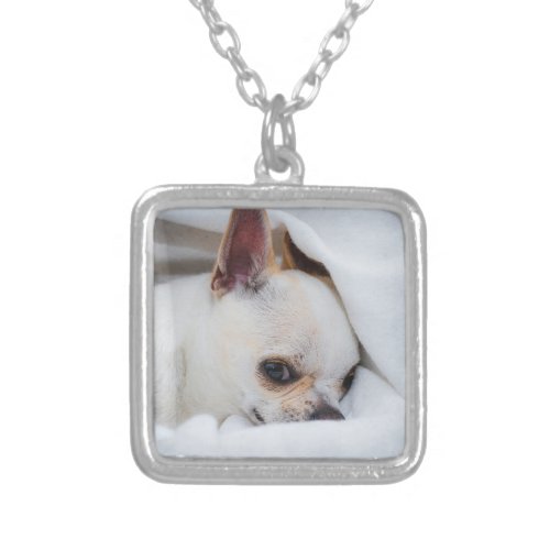 Your pet dog puppy custom photo chihuahua silver plated necklace
